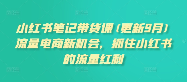 小红书笔记带货课(更新25年5月)流量电商新机会，抓住小红书的流量红利-资源宝库