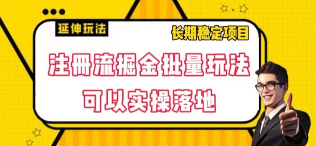 注册流掘金批量玩法，可以实操落地【揭秘】-资源宝库