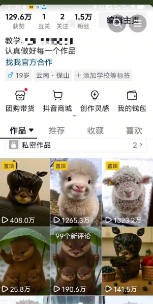 抖音65W博主AI萌宠课程，新赛道流量大，原创+二创，全套课程+提示词-资源宝库
