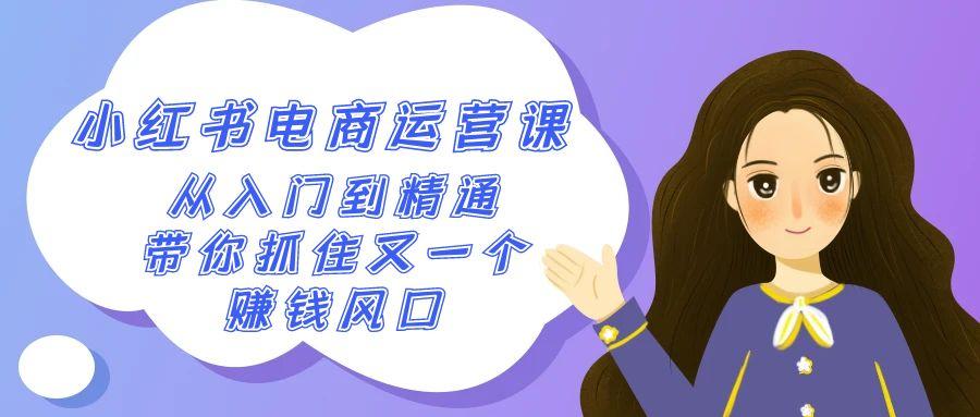 2024小红书电商运营课，从入门到精通，带你抓住又一个赚钱风口(50节课)-资源宝库