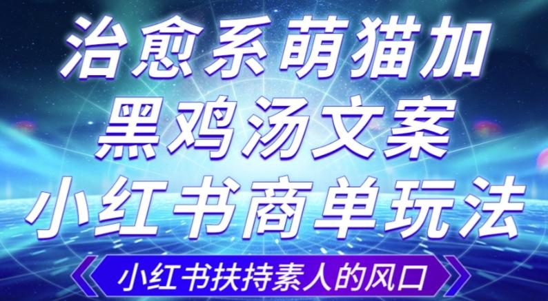 治愈系萌猫加+黑鸡汤文案，小红书商单玩法，3~10天涨到1000粉，一单200左右-资源宝库