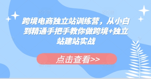 跨境电商独立站训练营，从小白到精通手把手教你做跨境+独立站建站实战-资源宝库