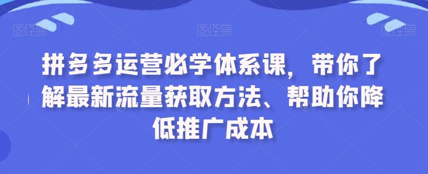 拼多多运营必学体系课，带你了解最新流量获取方法、帮助你降低推广成本-资源宝库