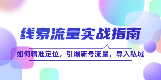 线 索 流 量-实战指南：如何精准定位，引爆新号流量，导入私域-资源宝库