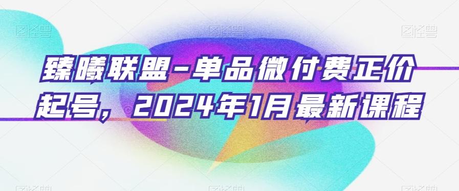 臻曦联盟-单品微付费正价起号，2024年1月最新课程-资源宝库