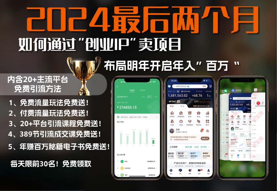 2024最后两个月如何通过”创业IP“卖项目年入”百万“,创业IP+最强引流...-资源宝库