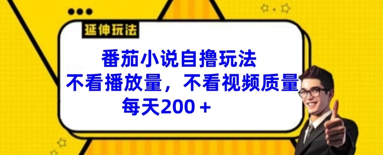 番茄小说自撸玩法，不看播放量，不看视频质量，每天200+【揭秘】-资源宝库