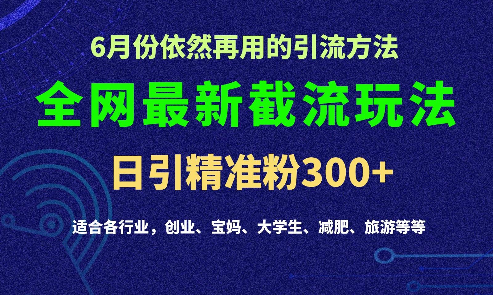 2024全网最新截留玩法，每日引流突破300+-资源宝库