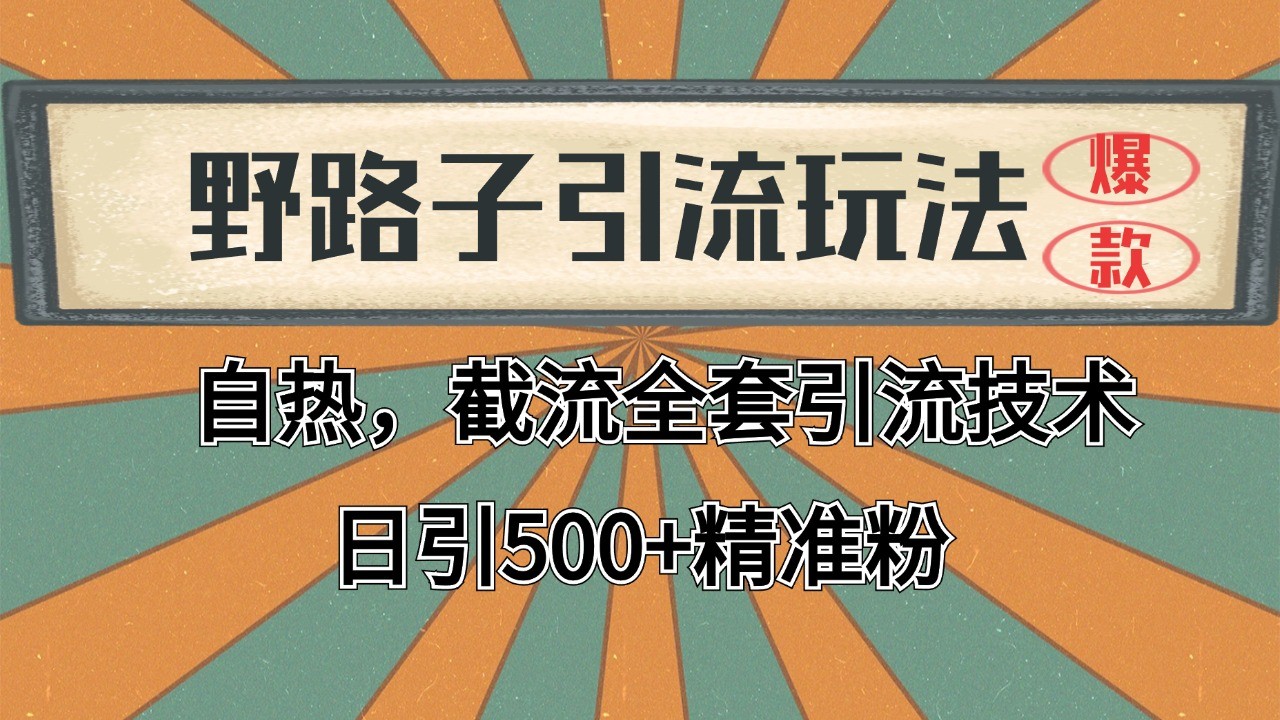 2024首发野路子引流玩法截流自热全平台打法，全自动引流【日引2000+精准客户】-资源宝库