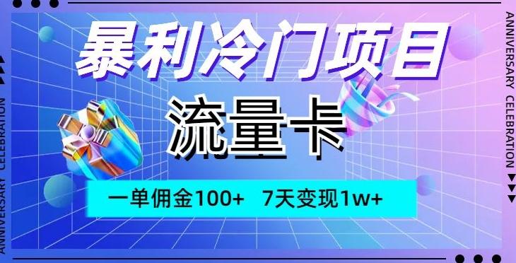 暴利冷门项目，流量卡，一单佣金100+，7天变现1w+-资源宝库