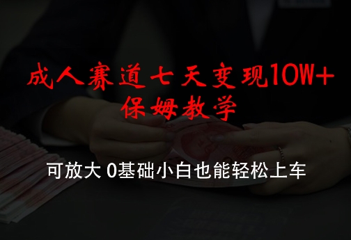成人赛道七天变现10W+保姆教学，可放大，0基础小白也能轻松上车【揭秘】-资源宝库
