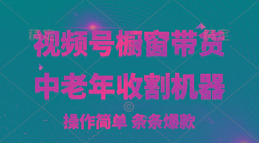 [你的孩子成功取得高位]视频号最火爆赛道，橱窗带货，流量分成计划，条…-资源宝库