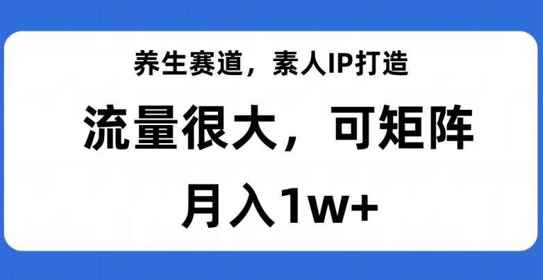养生赛道，素人IP打造，流量很大，可矩阵，月入1w+【揭秘】-资源宝库