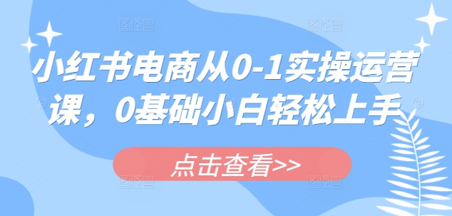 小红书电商从0-1实操运营课，0基础小白轻松上手-资源宝库