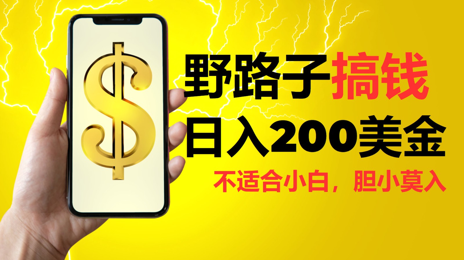 挂机野路子搞钱,日入200美金,路子很野,小白莫入-资源宝库