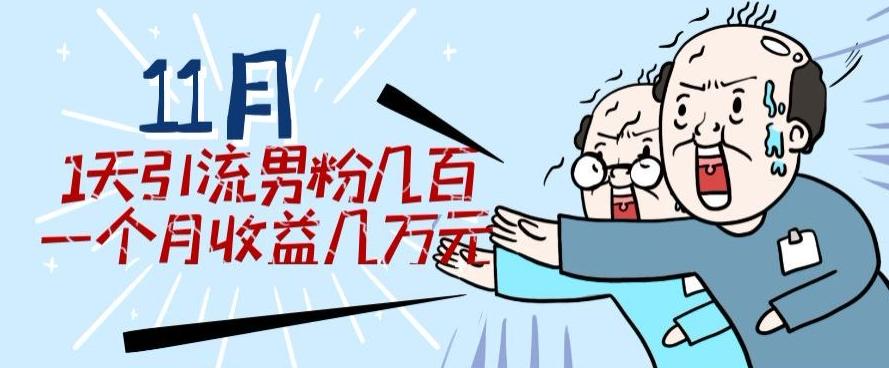 11月最新每天引流男粉300+一个月收益几万元-资源宝库