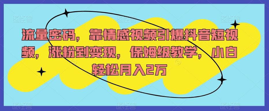 流量密码，靠情感视频引爆抖音短视频，涨粉到变现，保姆级教学，小白轻松月入2万【揭秘】-资源宝库