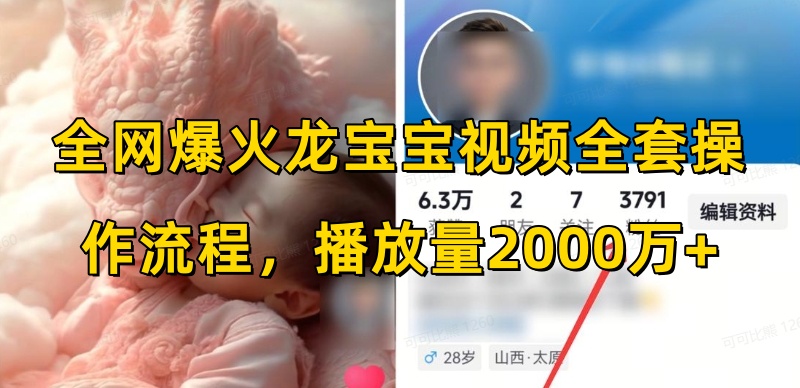 全网爆火龙宝宝视频全套操作流程，播放量2000万+-资源宝库