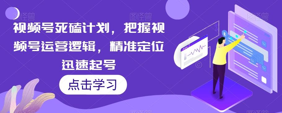 视频号死磕计划，把握视频号运营逻辑，精准定位迅速起号-资源宝库