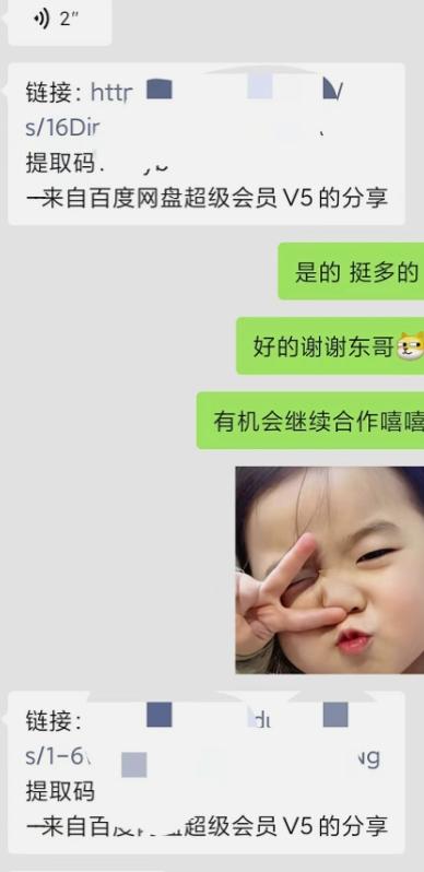 小彬网虚拟资源网站培训课程,如何一个月快速做出盈利的资源网站(实打实经验)