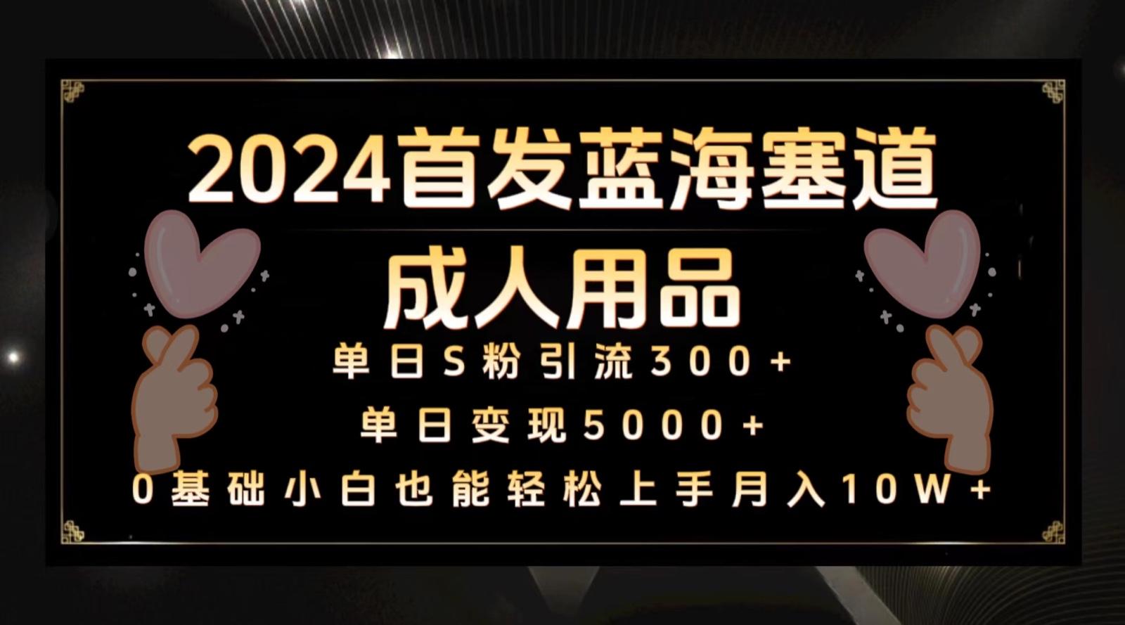 2024首发蓝海塞道成人用品,月入10W+保姆教程-资源宝库
