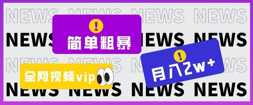简单粗暴零成本，高回报，全网视频VIP掘金项目，月入2万＋【揭秘】-资源宝库