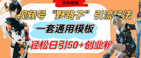 视频号“野路子”玩法，评论区疯狂截流，一套模板单日单号引流50+创业粉-资源宝库