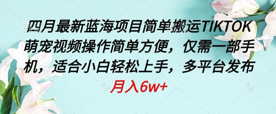 四月最新蓝海项目，简单搬运TIKTOK萌宠视频，操作简单方便，仅需一部手机【揭秘】-资源宝库