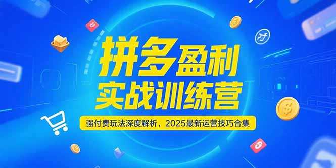 拼多多盈利实战训练营，强付费玩法深度解析，2025运营技巧合集-更新6月-资源宝库