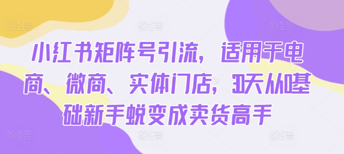 小红书矩阵号引流，适用于电商、微商、实体门店，30天从0基础新手蜕变成卖货高手-资源宝库