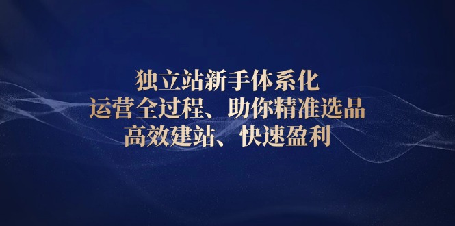 独立站新手体系化 运营全过程，助你精准选品、高效建站、快速盈利-资源宝库
