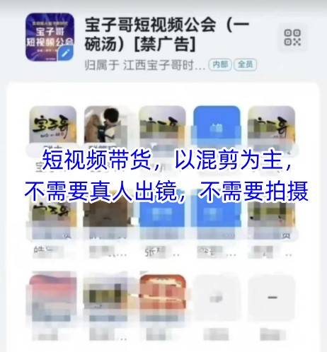 宝子哥头部团队短视频带货，以混剪为主，不需要真人出镜，不需要拍摄【更新】-资源宝库