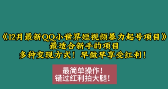 12月最新QQ小世界短视频暴力起号项目，最适合新手的项目，多种变现方式-资源宝库