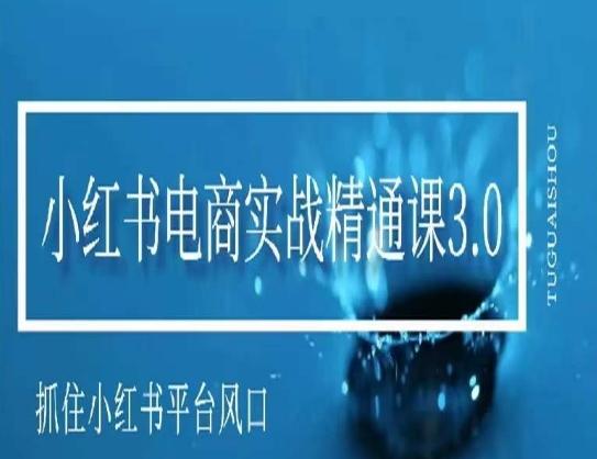 小红书电商实战精通课3.0,抓住小红书平台的风口,不错过有一个赚钱的机会