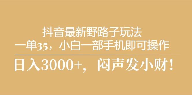 抖音最新野路子玩法，一单35，小白一部手机即可操作，，日入3000+，闷…-资源宝库