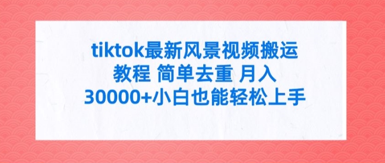 tiktok最新风景视频搬运教程 简单去重 月入3W+小白也能轻松上手【揭秘】-资源宝库