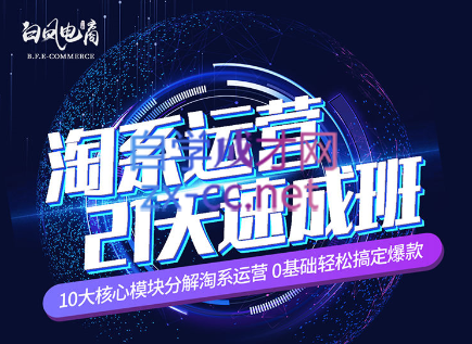 淘系运营21天速成班(更新24年6月)-资源宝库