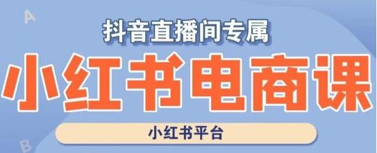 小红书电商高级运营课程，实操教学+案例分析-资源宝库